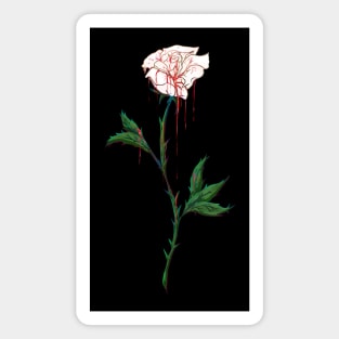 White Rose Dripping with Blood Magnet